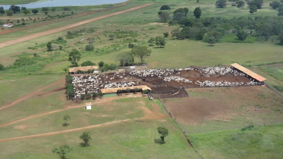 Fazenda - Venda - Zona Rural - Aroazes - PI