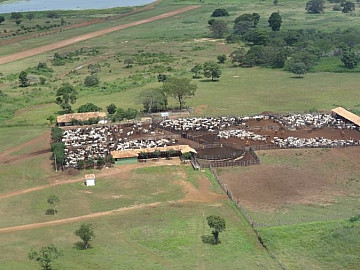 Fazenda no Piau�