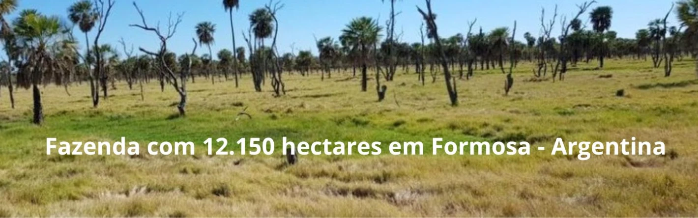 Imagem 4