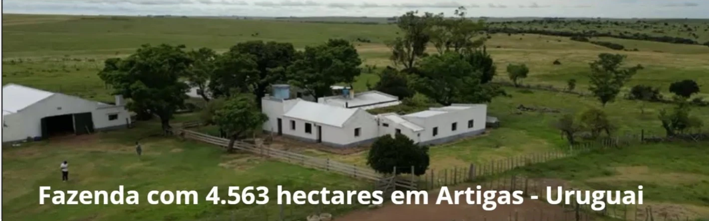 Imagem 3